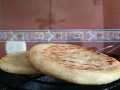 VENDE LAS MEJORES AREPAS DE COLOMBIA. ¡UTILIZA ESTOS ELEMENTOS Y PRODUCTOS! - CI TALSA Colombia