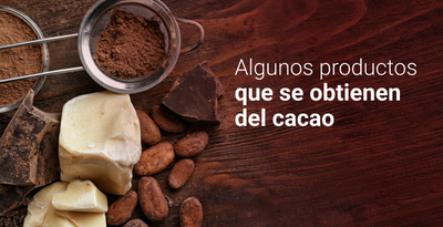PROCESAMIENTO DE LOS SUBPRODUCTOS DERIVADOS DEL CACAO - CI TALSA Colombia