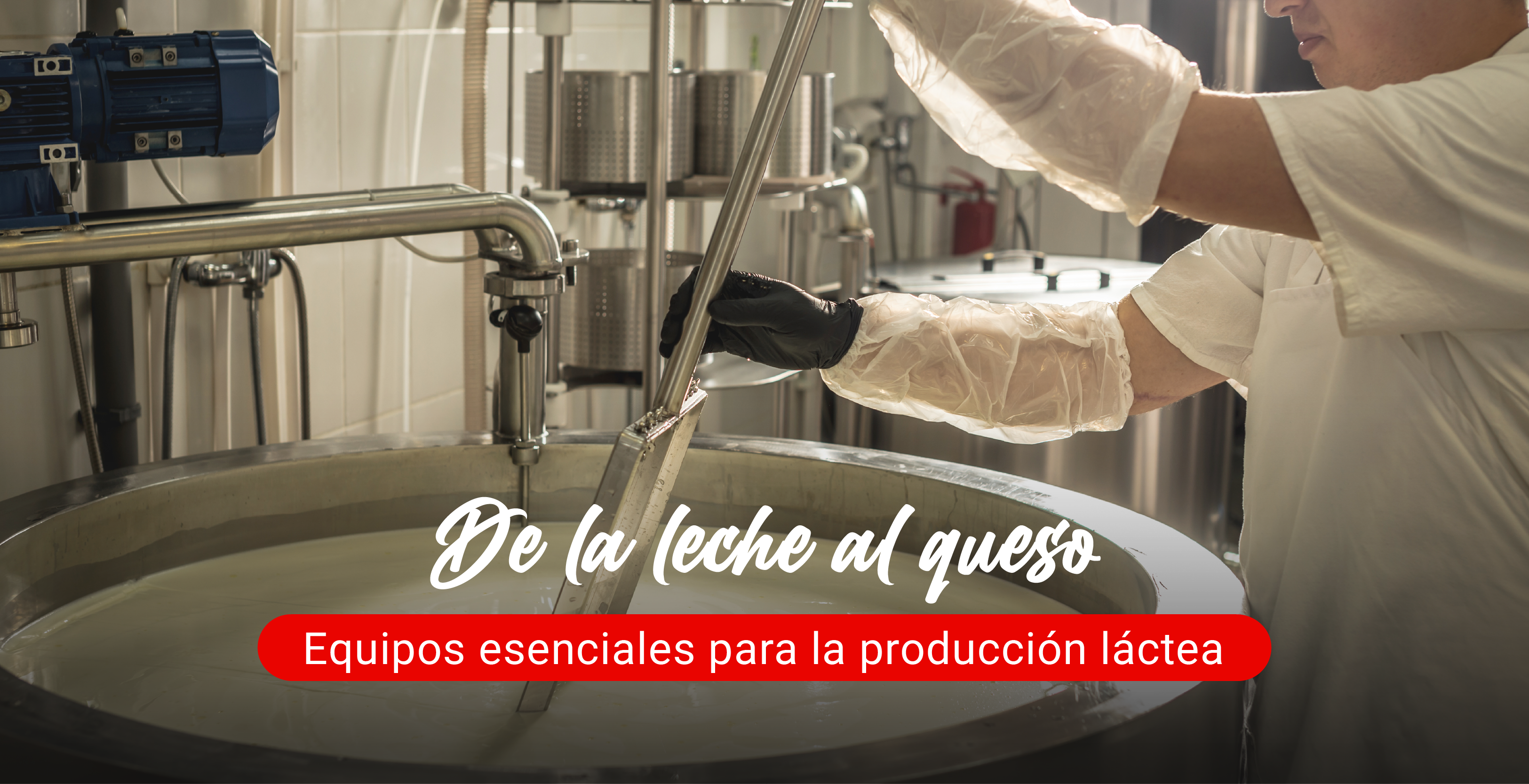 De la leche al queso: equipos esenciales para la producción láctea