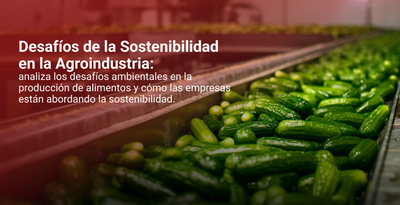 Desafíos de la Sostenibilidad en la Agroindustria: analiza los desafíos ambientales en la producción de alimentos y cómo las empresas están abordando la sostenibilidad.
