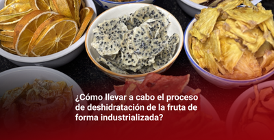 ¿CÓMO LLEVAR A CABO EL PROCESO DE DESHIDRATACIÓN DE LA FRUTA DE FORMA INDUSTRIALIZADA? - CI TALSA Colombia