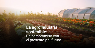 La agroindustria sostenible: Un compromiso con el presente y el futuro