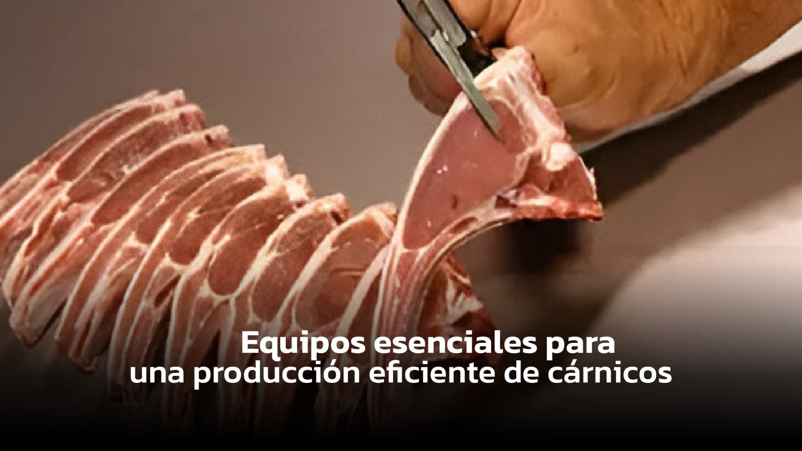 Procesamiento cárnico: equipos esenciales para una producción eficiente
