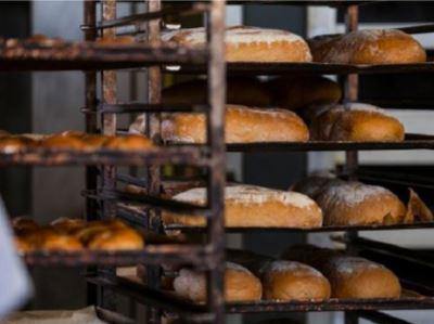 ¿GUÍA PARA COMPRAR HORNOS DE PANADERÍA? ¿QUÉ DEBO TOMAR EN CUENTA PARA LA COMPRA? - CI TALSA Colombia