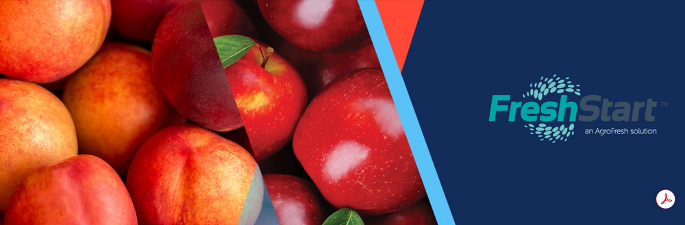 DESINFECTANTE FRESHSTAR-11201937 20KL